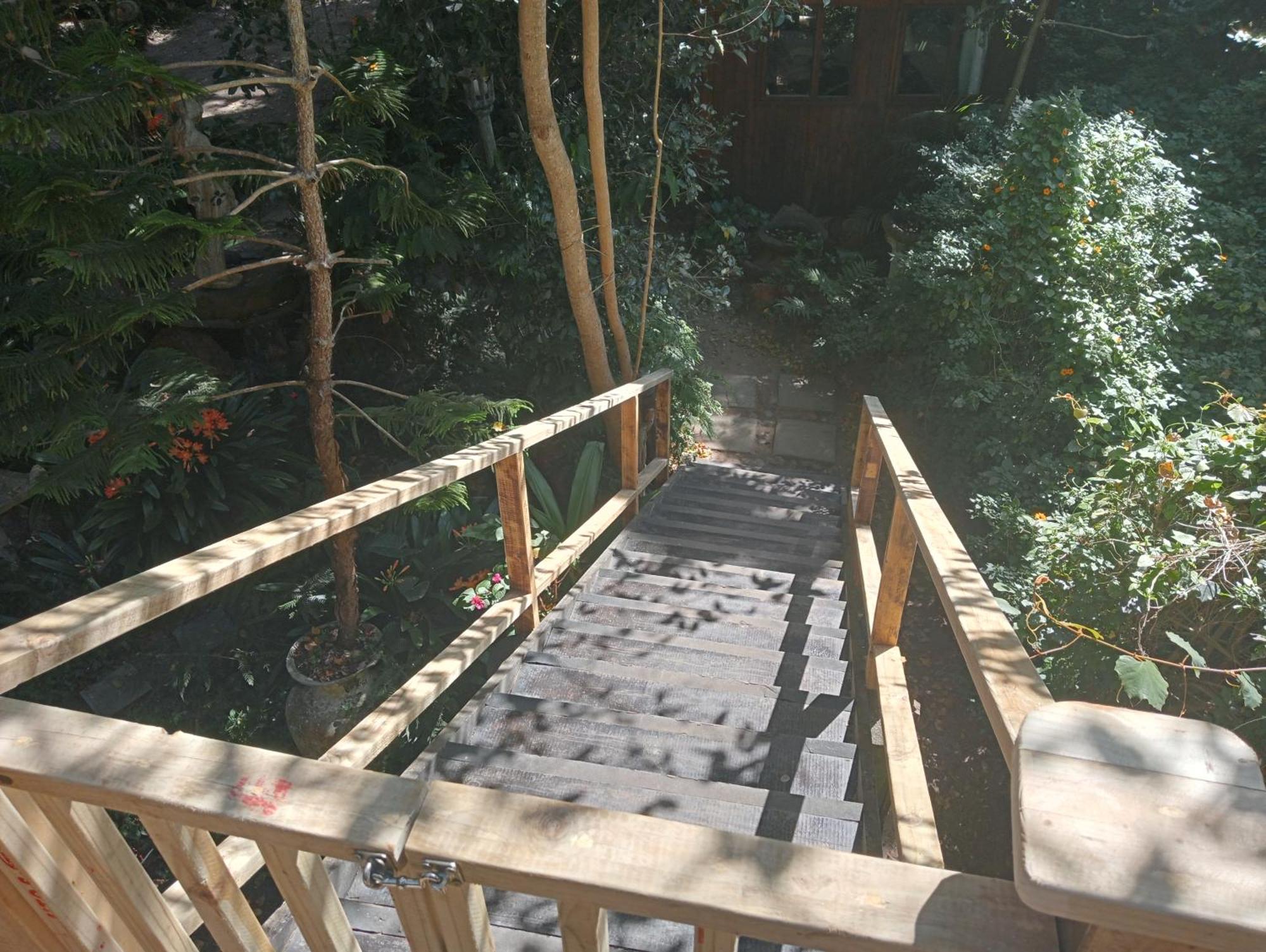 Nature'S Valley Health Retreat A Hide Away In The Forest Exterior foto