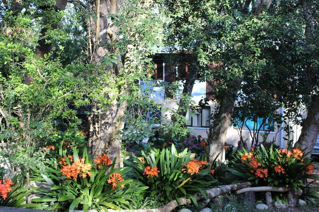 Nature'S Valley Health Retreat A Hide Away In The Forest Exterior foto